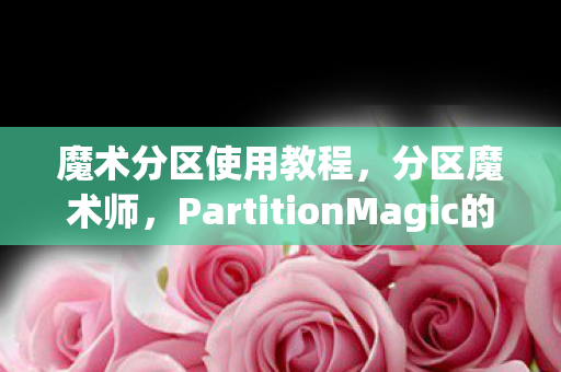 PartitionMagic的神奇之旅图片