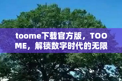 解锁数字时代的无限可能图片