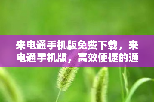 来电通手机版免费下载，来电通手机版，高效便捷的通讯新体验