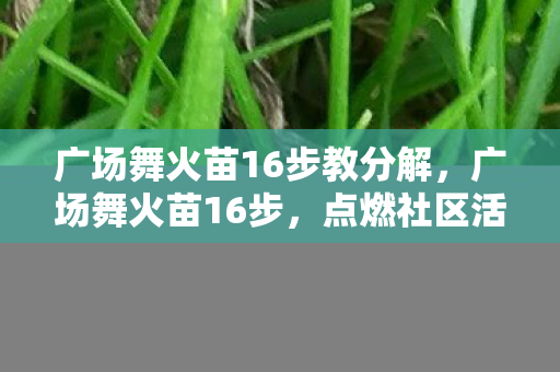 广场舞火苗16步教分解，广场舞火苗16步，点燃社区活力的舞蹈盛宴
