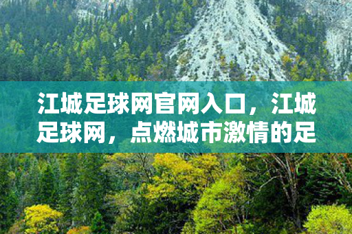 江城足球网官网入口，江城足球网，点燃城市激情的足球盛宴