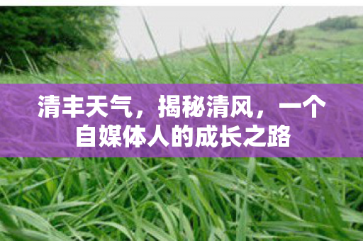 清丰天气，揭秘清风，一个自媒体人的成长之路