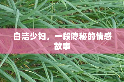 一段隐秘的情感故事图片