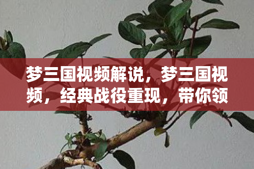 梦三国视频解说，梦三国视频，经典战役重现，带你领略三国风采