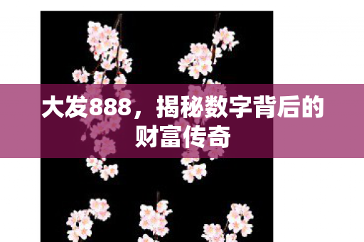 揭秘数字背后的财富传奇图片