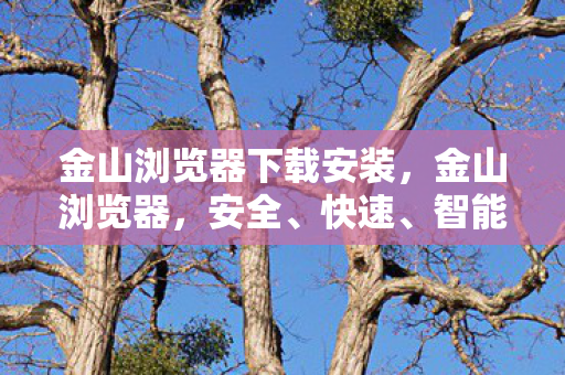 金山浏览器下载安装图片