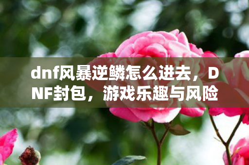 dnf风暴逆鳞怎么进去图片