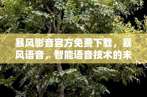 智能语音技术的未来探索图片