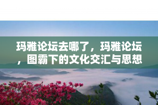 图霸下的文化交汇与思想碰撞图片