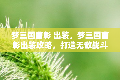 梦三国曹彰 出装，梦三国曹彰出装攻略，打造无敌战斗装备