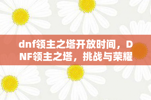 dnf领主之塔开放时间图片