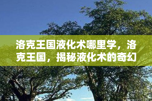 洛克王国液化术哪里学图片