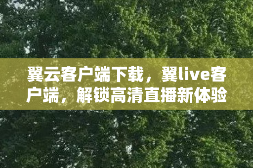 解锁高清直播新体验图片