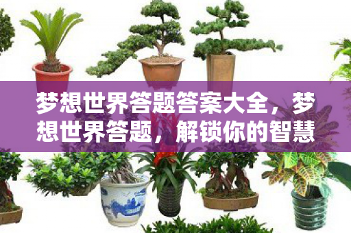 解锁你的智慧与冒险之旅图片