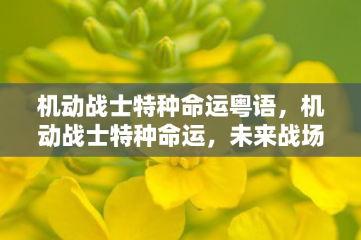 机动战士特种命运粤语图片