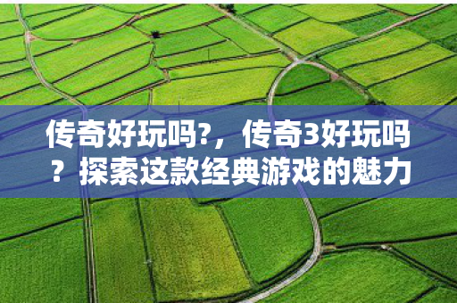 探索这款经典游戏的魅力图片