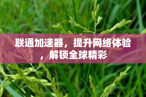 提升网络体验图片