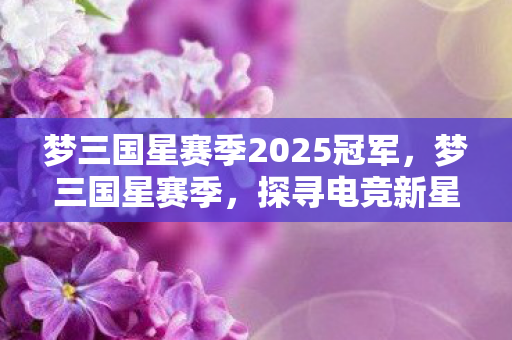 梦三国星赛季2025冠军，梦三国星赛季，探寻电竞新星背后的故事