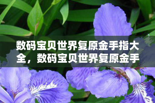 数码宝贝世界复原金手指大全图片