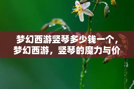 梦幻西游竖琴多少钱一个图片