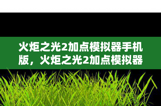 火炬之光2加点模拟器手机版图片