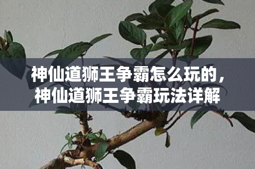 神仙道狮王争霸怎么玩的图片