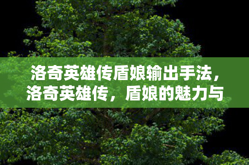 洛奇英雄传盾娘输出手法图片