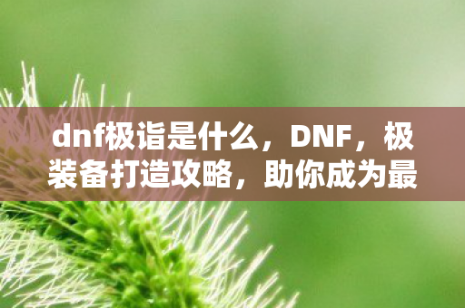 助你成为最强冒险家图片