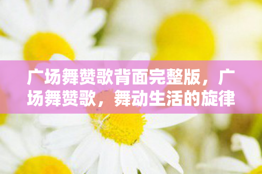 广场舞赞歌背面完整版图片