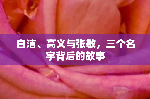 三个名字背后的故事图片