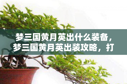 梦三国黄月英出什么装备，梦三国黄月英出装攻略，打造最强英雄装备组合