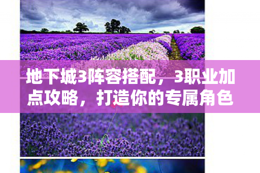 地下城3阵容搭配图片