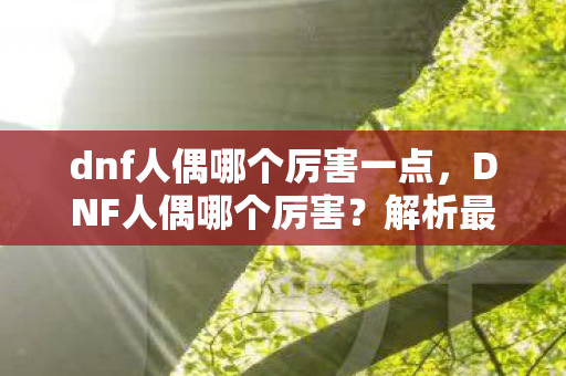 dnf人偶哪个厉害一点图片