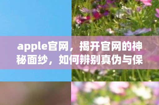 如何辨别真伪与保护自身权益图片