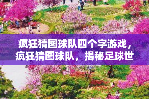 疯狂猜图球队四个字游戏图片