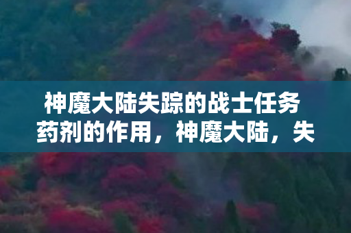 神魔大陆失踪的战士任务 药剂的作用，神魔大陆，失踪战士的神秘任务