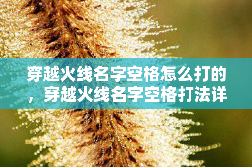 穿越火线名字空格怎么打的图片