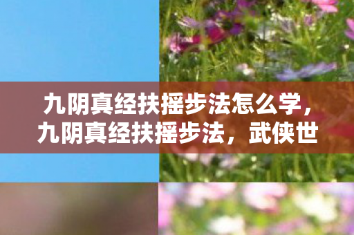 九阴真经扶摇步法怎么学，九阴真经扶摇步法，武侠世界中的轻功传奇