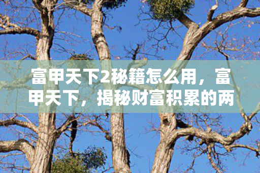 揭秘财富积累的两大秘籍图片