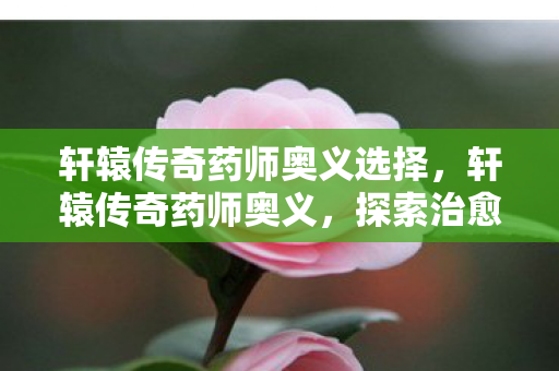 轩辕传奇药师奥义选择图片