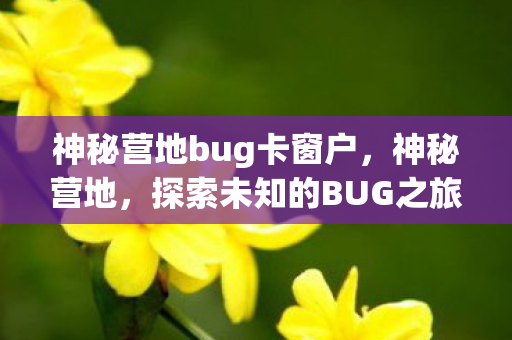 神秘营地bug卡窗户图片