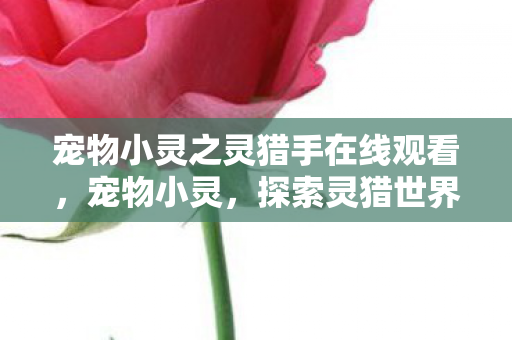 宠物小灵之灵猎手在线观看图片