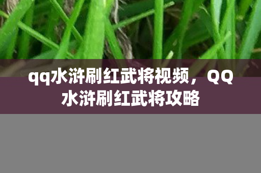 qq水浒刷红武将视频图片