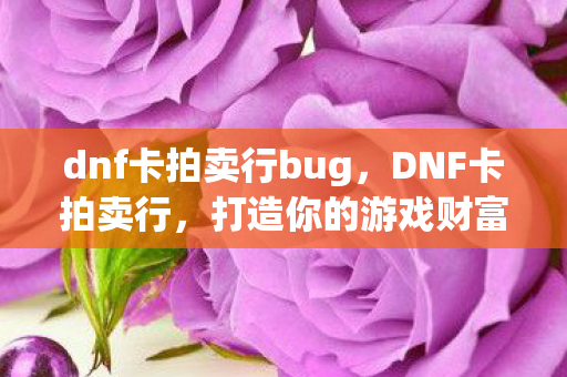 dnf卡拍卖行bug图片