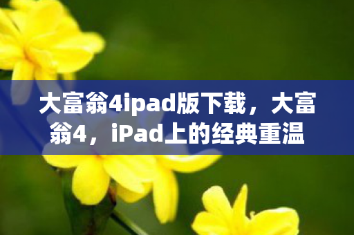大富翁4ipad版下载图片