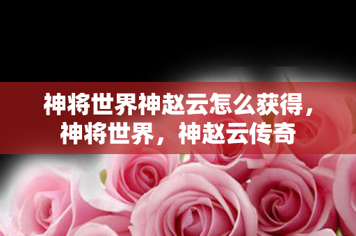 神将世界神赵云怎么获得图片