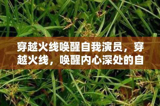 穿越火线唤醒自我演员图片