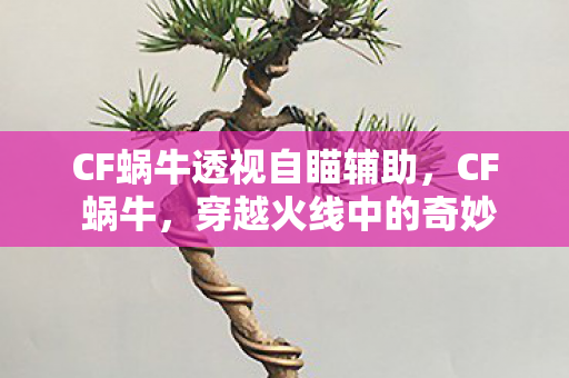 CF蜗牛透视自瞄辅助图片