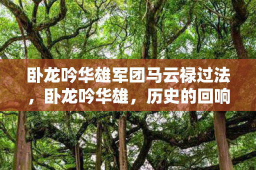 卧龙吟华雄军团马云禄过法图片