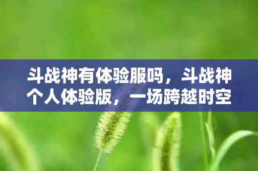 一场跨越时空的冒险之旅图片